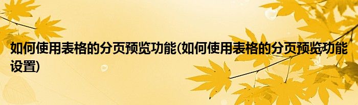 如何使用表格的分頁(yè)預(yù)覽功能(如何使用表格的分頁(yè)預(yù)覽功能設(shè)置)