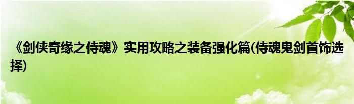 《劍俠奇緣之侍魂》實用攻略之裝備強化篇(侍魂鬼劍首飾選擇)