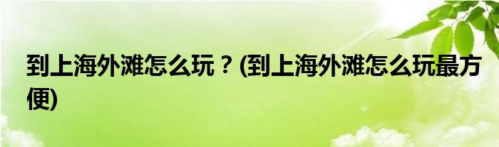 到上海外灘怎么玩？(到上海外灘怎么玩最方便)