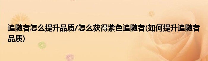 追隨者怎么提升品質/怎么獲得紫色追隨者(如何提升追隨者品質)