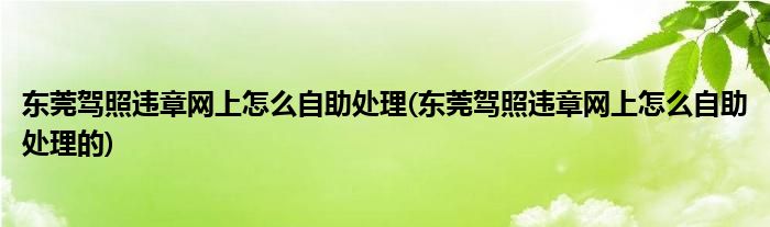 東莞駕照違章網(wǎng)上怎么自助處理(東莞駕照違章網(wǎng)上怎么自助處理的)