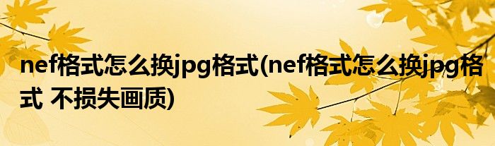 nef格式怎么換jpg格式(nef格式怎么換jpg格式 不損失畫質(zhì))