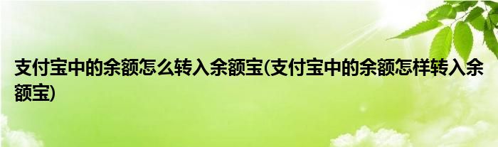 支付寶中的余額怎么轉(zhuǎn)入余額寶(支付寶中的余額怎樣轉(zhuǎn)入余額寶)