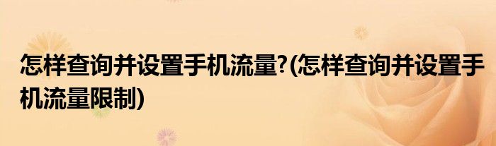 怎樣查詢并設(shè)置手機(jī)流量?(怎樣查詢并設(shè)置手機(jī)流量限制)