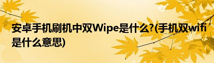 安卓手機刷機中雙Wipe是什么?(手機雙wifi是什么意思)