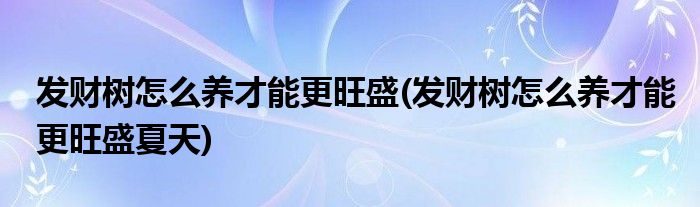 發(fā)財(cái)樹(shù)怎么養(yǎng)才能更旺盛(發(fā)財(cái)樹(shù)怎么養(yǎng)才能更旺盛夏天)