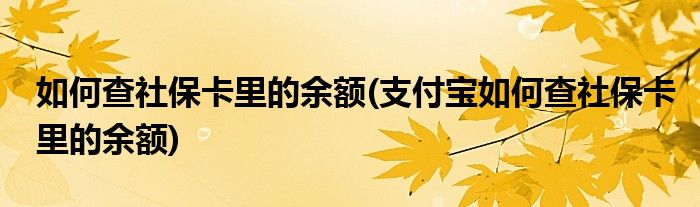 如何查社?？ɡ锏挠囝~(支付寶如何查社?？ɡ锏挠囝~)