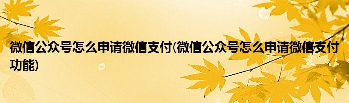 微信公眾號(hào)怎么申請(qǐng)微信支付(微信公眾號(hào)怎么申請(qǐng)微信支付功能)