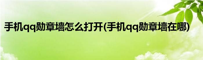 手機(jī)qq勛章墻怎么打開(kāi)(手機(jī)qq勛章墻在哪)