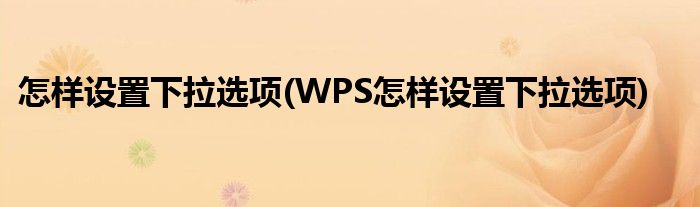 怎樣設(shè)置下拉選項(xiàng)(WPS怎樣設(shè)置下拉選項(xiàng))