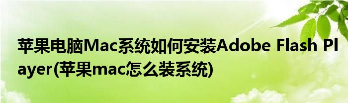 蘋果電腦Mac系統(tǒng)如何安裝Adobe Flash Player(蘋果mac怎么裝系統(tǒng))