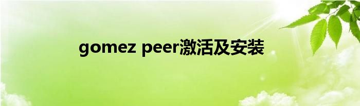 gomez peer激活及安裝