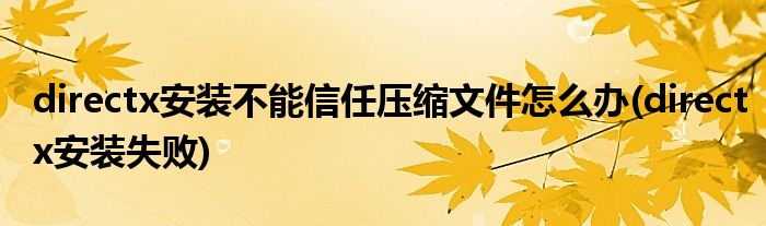 directx安裝不能信任壓縮文件怎么辦(directx安裝失敗)