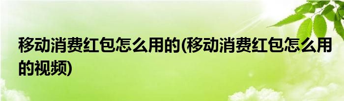 移動消費(fèi)紅包怎么用的(移動消費(fèi)紅包怎么用的視頻)