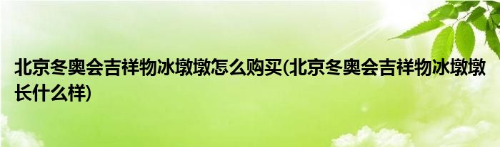 北京冬奧會(huì)吉祥物冰墩墩怎么購買(北京冬奧會(huì)吉祥物冰墩墩長什么樣)