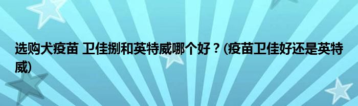 選購犬疫苗 衛(wèi)佳捌和英特威哪個好？(疫苗衛(wèi)佳好還是英特威)