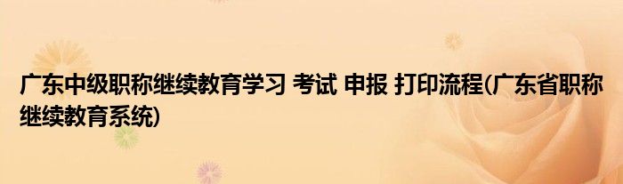 廣東中級職稱繼續(xù)教育學習 考試 申報 打印流程(廣東省職稱繼續(xù)教育系統(tǒng))