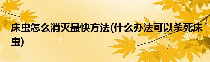 床蟲怎么消滅最快方法(什么辦法可以殺死床蟲)