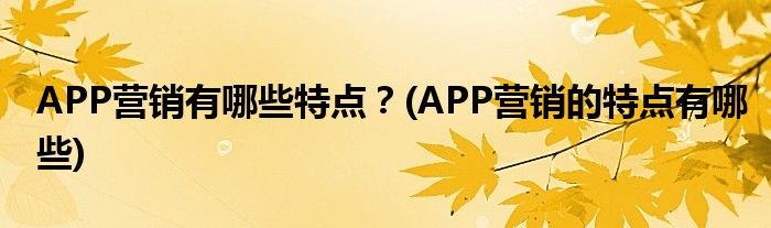 APP營(yíng)銷有哪些特點(diǎn)？(APP營(yíng)銷的特點(diǎn)有哪些)