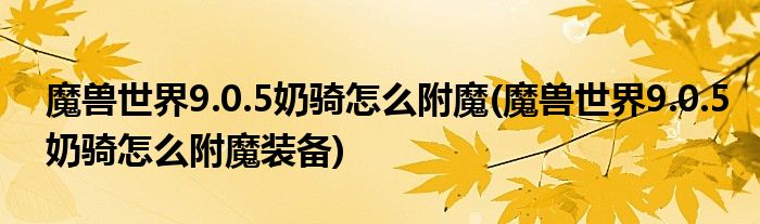 魔獸世界9.0.5奶騎怎么附魔(魔獸世界9.0.5奶騎怎么附魔裝備)