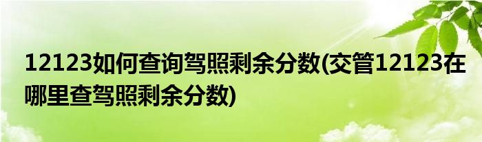 12123如何查詢駕照剩余分?jǐn)?shù)(交管12123在哪里查駕照剩余分?jǐn)?shù))