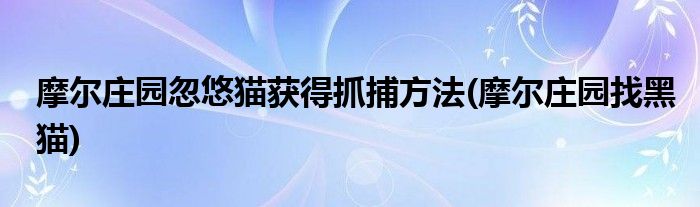 摩爾莊園忽悠貓獲得抓捕方法(摩爾莊園找黑貓)