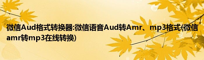 微信Aud格式轉換器:微信語音Aud轉Amr、mp3格式(微信amr轉mp3在線轉換)