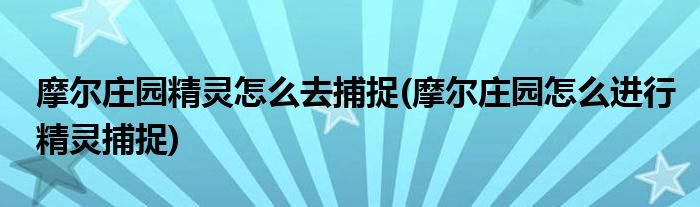 摩爾莊園精靈怎么去捕捉(摩爾莊園怎么進(jìn)行精靈捕捉)