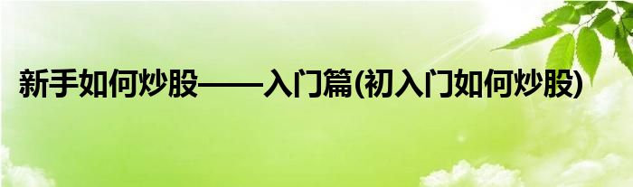 新手如何炒股——入門篇(初入門如何炒股)