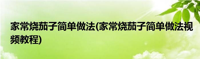 家常燒茄子簡(jiǎn)單做法(家常燒茄子簡(jiǎn)單做法視頻教程)