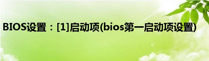 BIOS設(shè)置：[1]啟動(dòng)項(xiàng)(bios第一啟動(dòng)項(xiàng)設(shè)置)