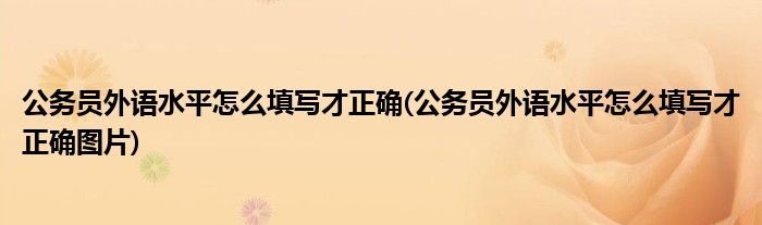 公務員外語水平怎么填寫才正確(公務員外語水平怎么填寫才正確圖片)