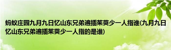 螞蟻莊園九月九日憶山東兄弟遍插茱萸少一人指誰(九月九日憶山東兄弟遍插茱萸少一人指的是誰)