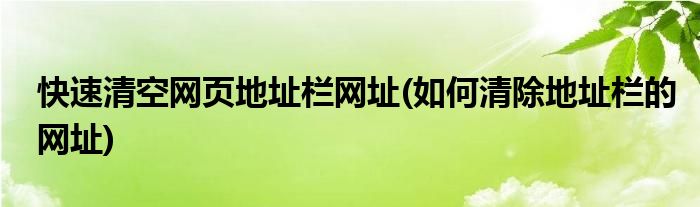 快速清空網(wǎng)頁(yè)地址欄網(wǎng)址(如何清除地址欄的網(wǎng)址)