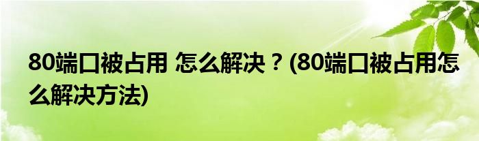 80端口被占用 怎么解決？(80端口被占用怎么解決方法)