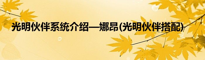 光明伙伴系統(tǒng)介紹—娜昂(光明伙伴搭配)