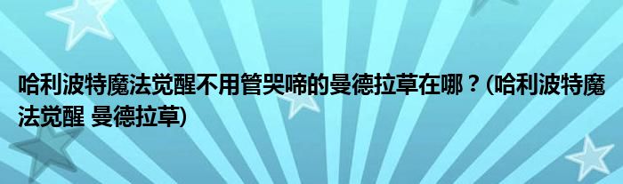 哈利波特魔法覺醒不用管哭啼的曼德拉草在哪？(哈利波特魔法覺醒 曼德拉草)