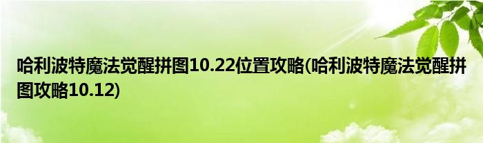 哈利波特魔法覺(jué)醒拼圖10.22位置攻略(哈利波特魔法覺(jué)醒拼圖攻略10.12)