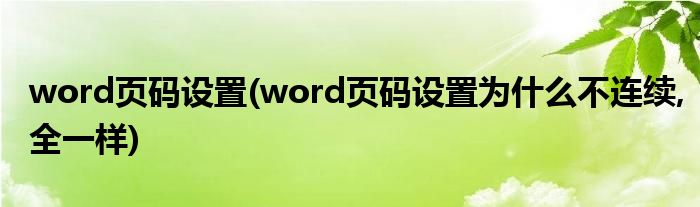 word頁(yè)碼設(shè)置(word頁(yè)碼設(shè)置為什么不連續(xù),全一樣)