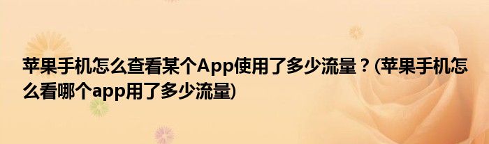 蘋果手機(jī)怎么查看某個(gè)App使用了多少流量？(蘋果手機(jī)怎么看哪個(gè)app用了多少流量)