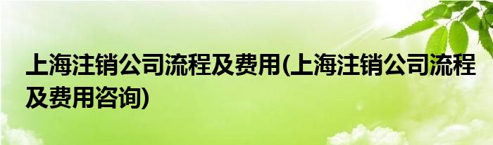 上海注銷公司流程及費用(上海注銷公司流程及費用咨詢)