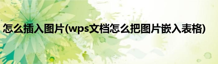 怎么插入圖片(wps文檔怎么把圖片嵌入表格)