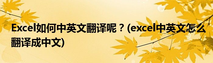 Excel如何中英文翻譯呢？(excel中英文怎么翻譯成中文)