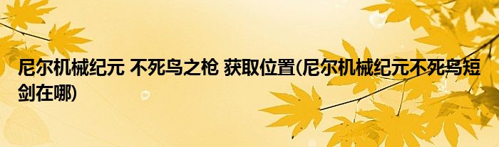 尼爾機(jī)械紀(jì)元 不死鳥之槍 獲取位置(尼爾機(jī)械紀(jì)元不死鳥短劍在哪)