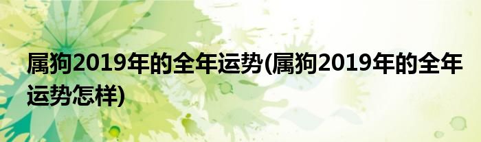 屬狗2019年的全年運(yùn)勢(屬狗2019年的全年運(yùn)勢怎樣)