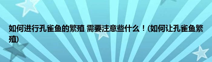 如何進(jìn)行孔雀魚的繁殖 需要注意些什么！(如何讓孔雀魚繁殖)