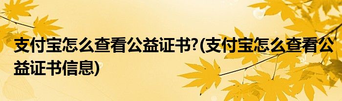 支付寶怎么查看公益證書?(支付寶怎么查看公益證書信息)