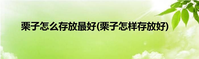 栗子怎么存放最好(栗子怎樣存放好)