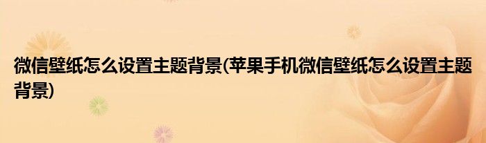 微信壁紙怎么設置主題背景(蘋果手機微信壁紙怎么設置主題背景)