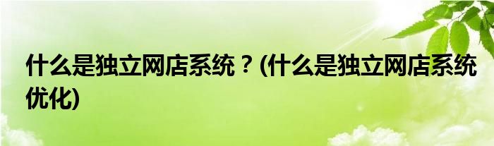 什么是獨(dú)立網(wǎng)店系統(tǒng)？(什么是獨(dú)立網(wǎng)店系統(tǒng)優(yōu)化)